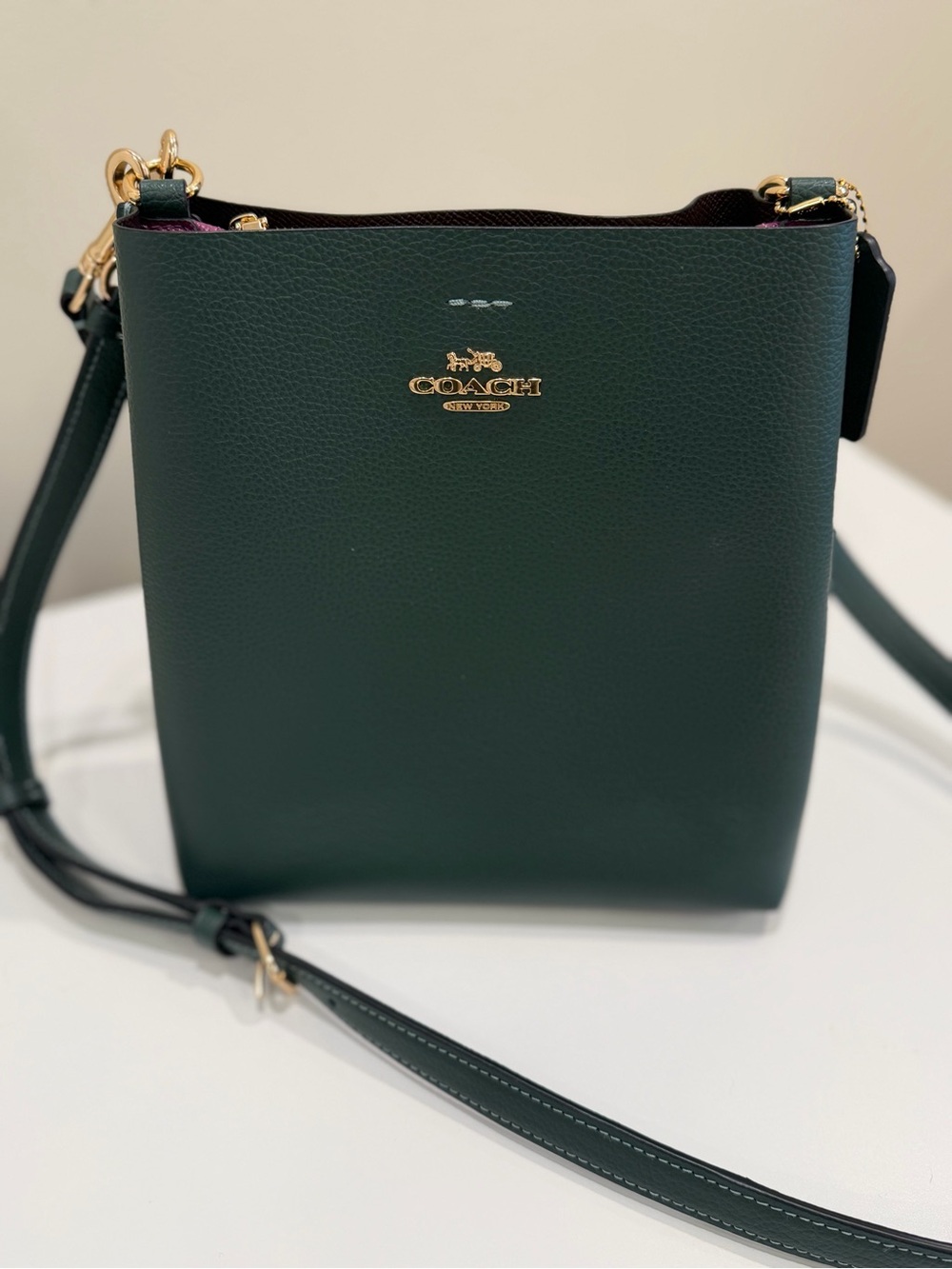 COACH Mollie Bucket Bag